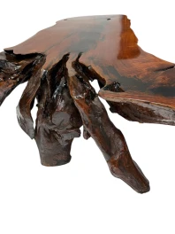 Organic Brutalist Large Tree Root Coffee Table, 1970s